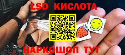 крисы Керчь