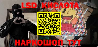 шишки Будённовск