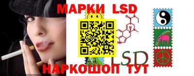 шишки Будённовск